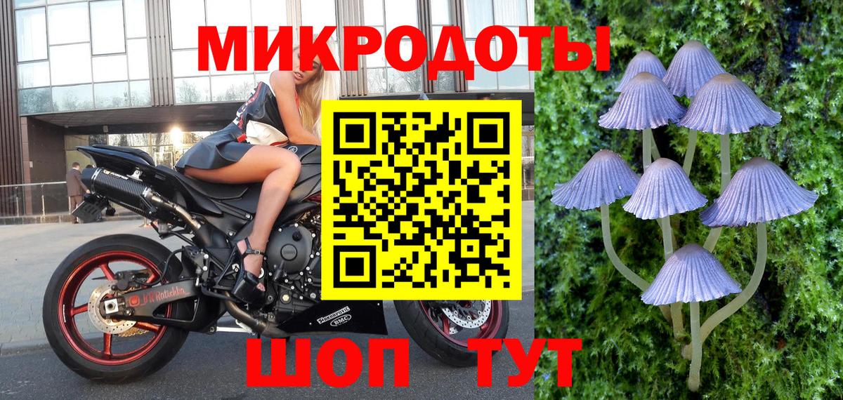 Псилоцибиновые грибы Psilocybe  Вход с VPN  Новоалтайск 